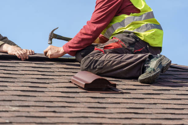 Best Storm Damage Roof Repair  in Rolla, ND